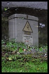 -reflet-de-la-borne-electrique.jpg