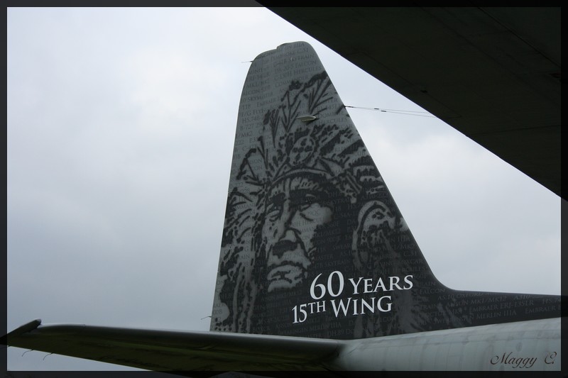 -60-ant-et-15th-wing.jpg