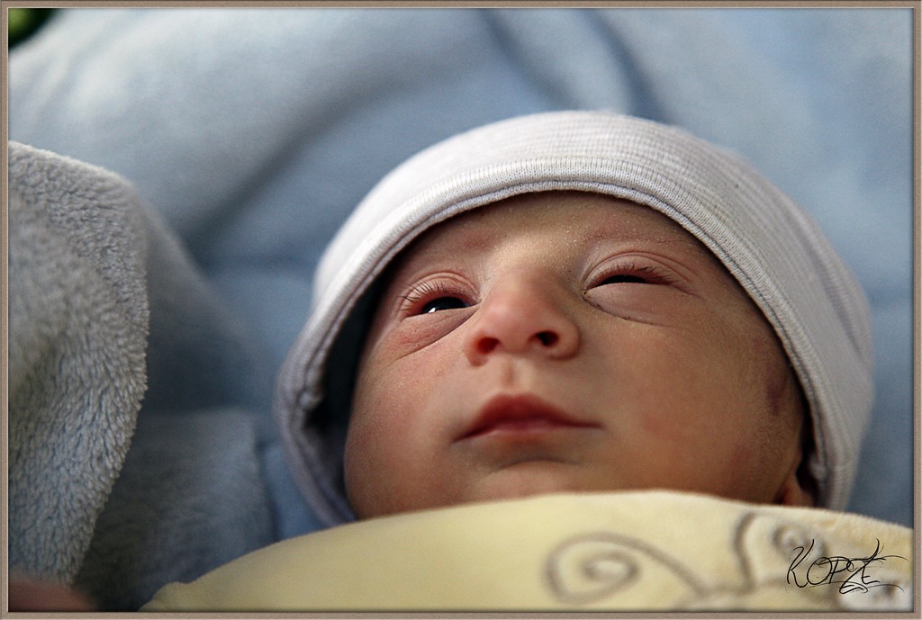 FLASH ESCLAVE-alex2-copier-.jpg