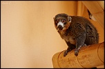 IMG 6192