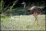 IMG 6203