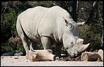 IMG 6218