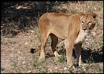 IMG 6236