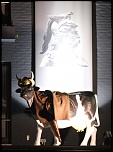 IMG 0042