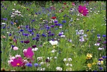 -img_6722_dxo.jpg