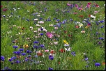 -img_6681_dxo.jpg