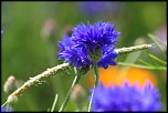 -img_6725_dxo.jpg