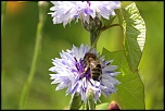 -img_6731_dxo.jpg