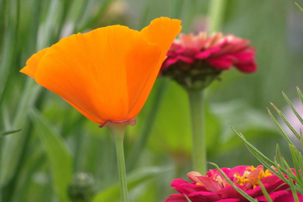 -img_6713_dxo.jpg