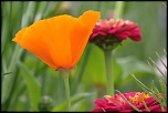 -img_6713_dxo.jpg