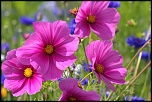 -img_6667_dxo.jpg