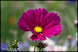 -img_6668_dxo.jpg
