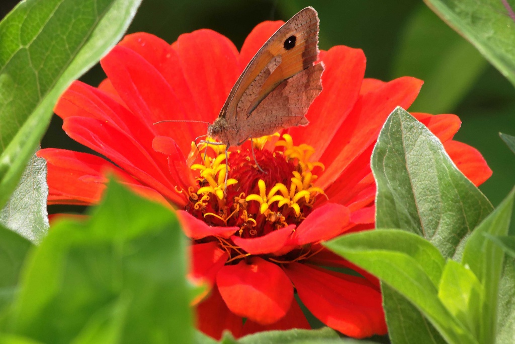 -img_6702_dxo.jpg