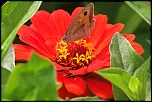 -img_6702_dxo.jpg