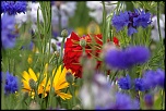 -img_6689_dxo.jpg