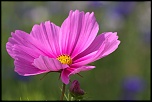 -img_6655_dxo.jpg