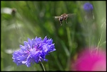 -img_6744_dxo.jpg