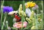 -img_6714_dxo.jpg