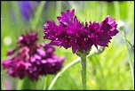 -img_6664_dxo.jpg