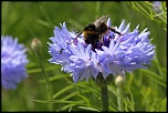 -img_6670_dxo.jpg