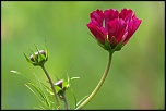 -img_6707_dxo.jpg