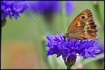 -img_6680_dxo.jpg
