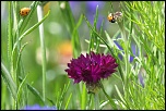 -img_6739_dxo.jpg