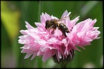 -img_6663_dxo.jpg