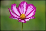 -img_6694_dxo.jpg