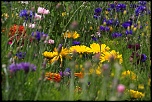 -img_6727_dxo.jpg