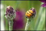 -img_6709_dxo.jpg