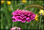 -img_6674_dxo.jpg
