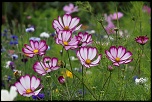 -img_6720_dxo.jpg