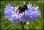 -img_6669_dxo.jpg