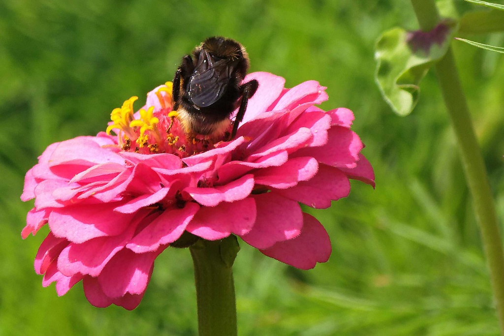 -img_6730_dxo.jpg