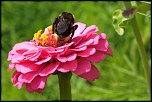 -img_6730_dxo.jpg