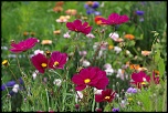 -img_6710_dxo.jpg