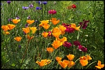 -img_6736_dxo.jpg