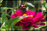 -img_6671_dxo.jpg