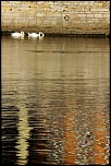 -img_4262a.jpg