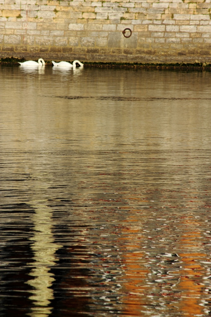 -img_4262a.jpg