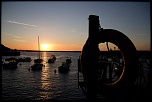 Sigma 70-200 2,8 ex HSM-img_0164-copier-.jpg