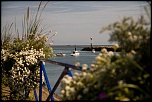 Sigma 70-200 2,8 ex HSM-img_0209-copier-.jpg