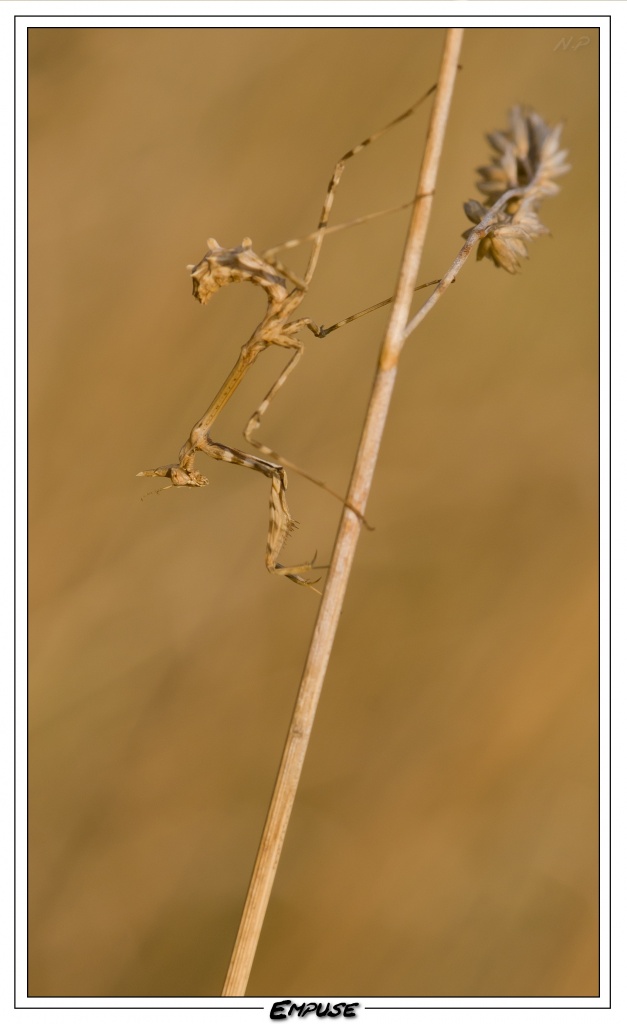 Cherche Objectif pour 300d-_mg_6544.jpg