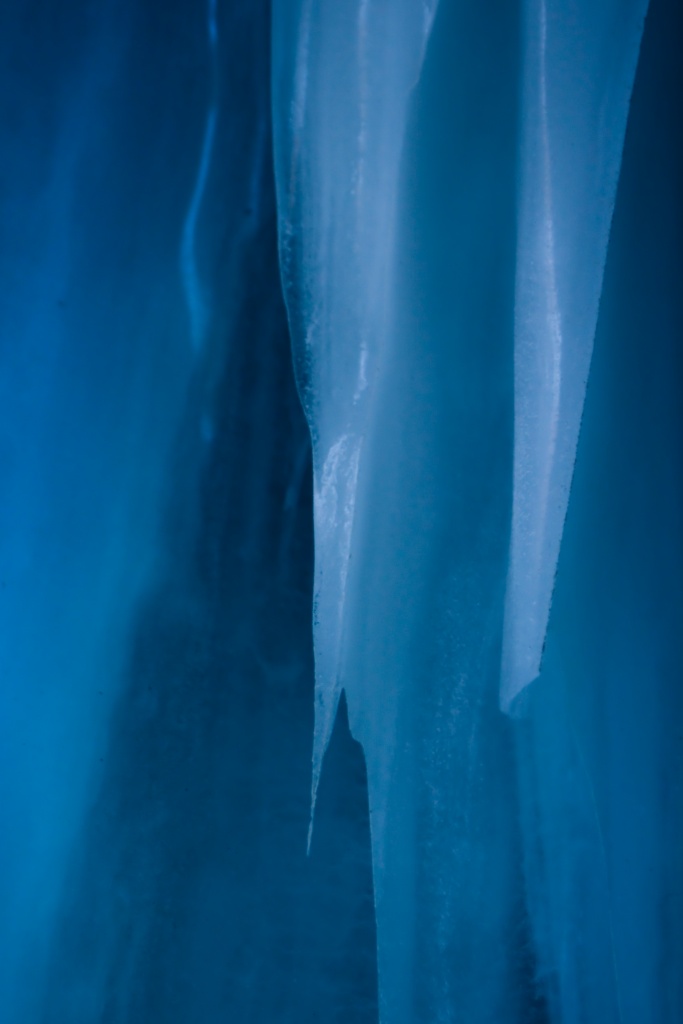 -img_1938-1.jpg