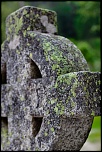-img_6384.jpg