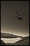 -img_9811.jpg