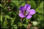 IMG 4156 1