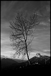 -img_0342-1.jpg