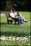 -img_4096.jpg